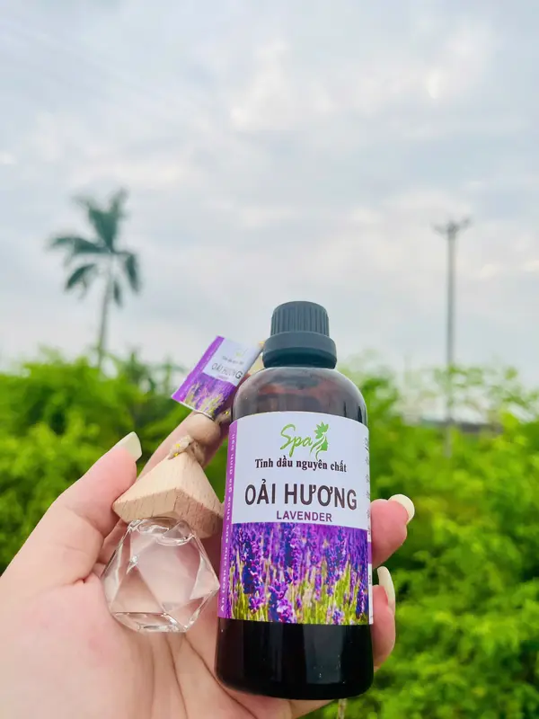 Tinh Dầu Oải Hương Nguyên Chất SPA 100ML - 50ML ( Tặng vở lọ treo xe ) 3