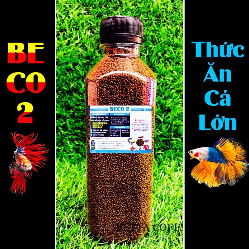 Cám BECO 2 - Thức ăn dạng viên cho cá cảnh betta guppy ranchu