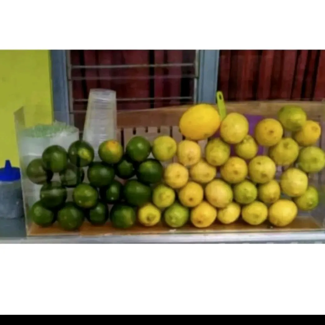 Etalase Jeruk Peras Akrilik 45cmx8cmx25cm untuk Tampilan Buah yang Lebih Rapi