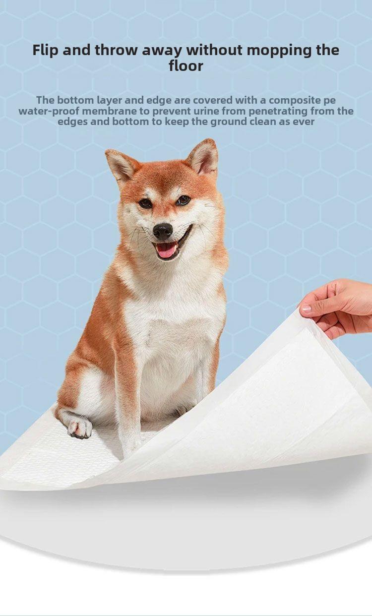 Product Introduction of Pet Diaper Pad Dog Paper Diaper Pad Pet Diaper Pad Dog Diaper Dog Diaper Pad for Cat 10