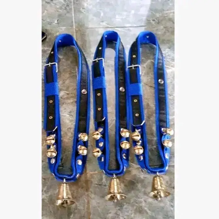 KALUNG SAPI
