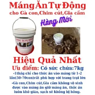 Máng ăn tự động cho Gà, Chim, dùng siêu bền hiệu quả nhất. 7
