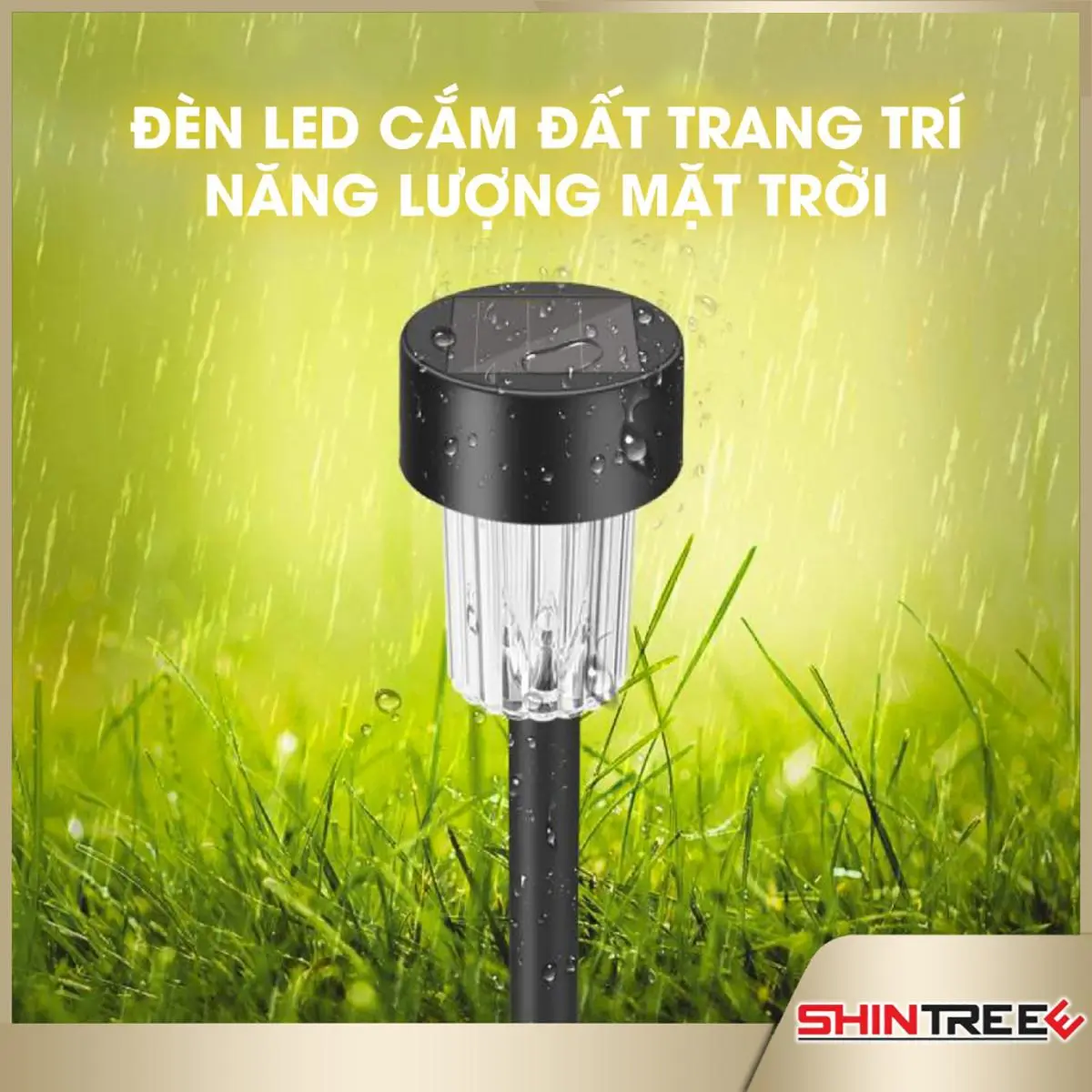 Đèn Led Trang Trí Sân Vườn Năng Lượng Mặt Trời Chất Liệu Cao Cấp Chất Lượng