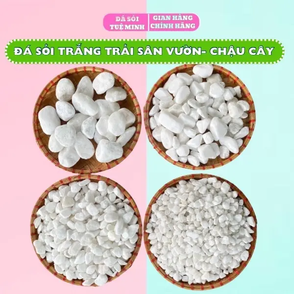 Đá Sỏi Trắng Trang Trí Chậu Cây, Hồ Cá, Trải Sàn Nhà, Trang Trí Sân Vườn, Quán Cafe, Sỏi Trắng Đẹp thuỷ  sinh 0