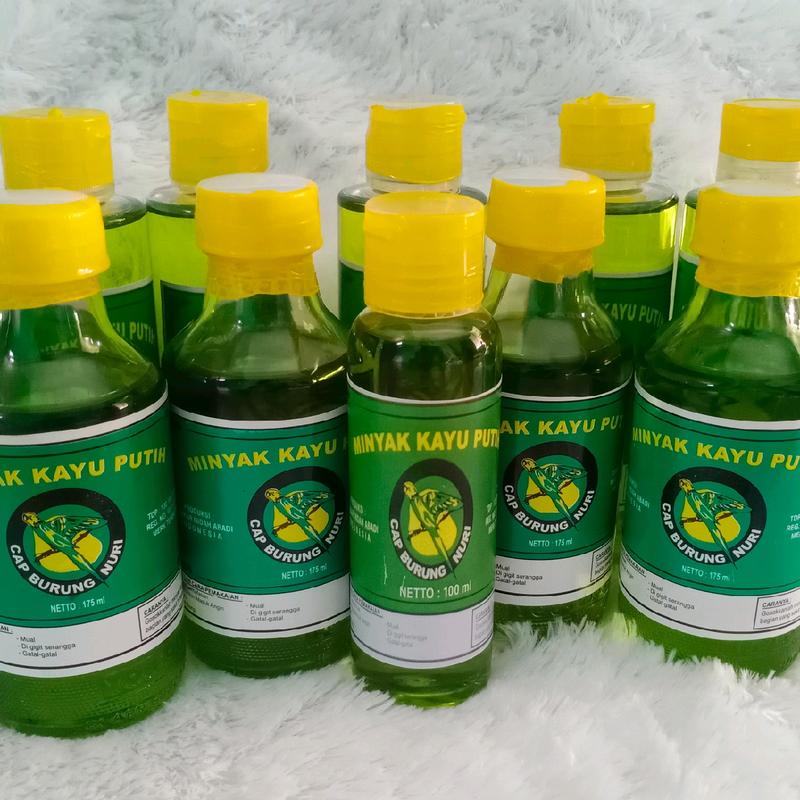minyak kayu putih 6