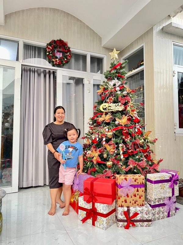 Hoa trạng nguyên trang trí noel, trang trí tết đường kính 14 cm có 3 màu đỏ, vàng, bạc 4