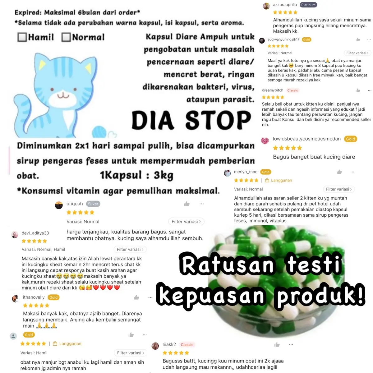 Dia stop Kapsul diare untuk anjing kucing