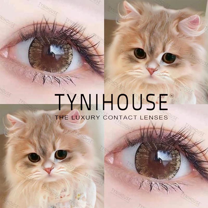Kính Áp Tròng Lens Mắt NÂU Tây Mắt Mèo ICY BROWN Size Giãn To 14.5mm Cận [0-6] Kèm Khay