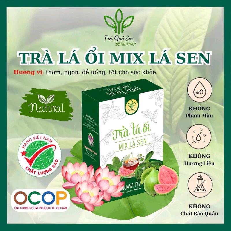 TRÀ LÁ ỔI MIX LÁ SEN SẤY LẠNH THẢO SÚN MIỀN TÂY ( 30 TÚI LỌC )