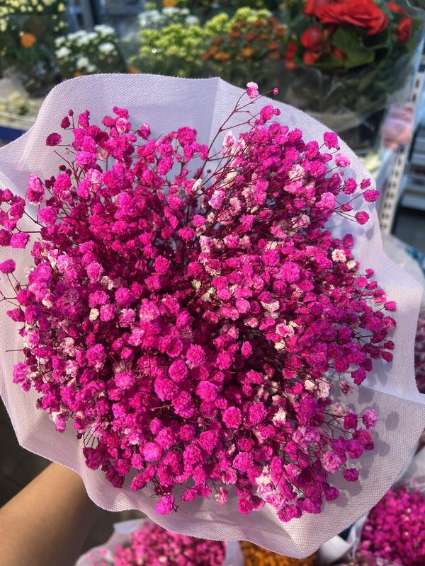 Hoa Khô Trang Trí Baby Bó 250g Decor Decor Phòng 1