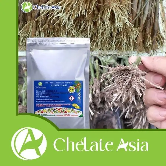 Auxin IBA-K 98% (Siêu kích thích ra rễ - tan trong nước)