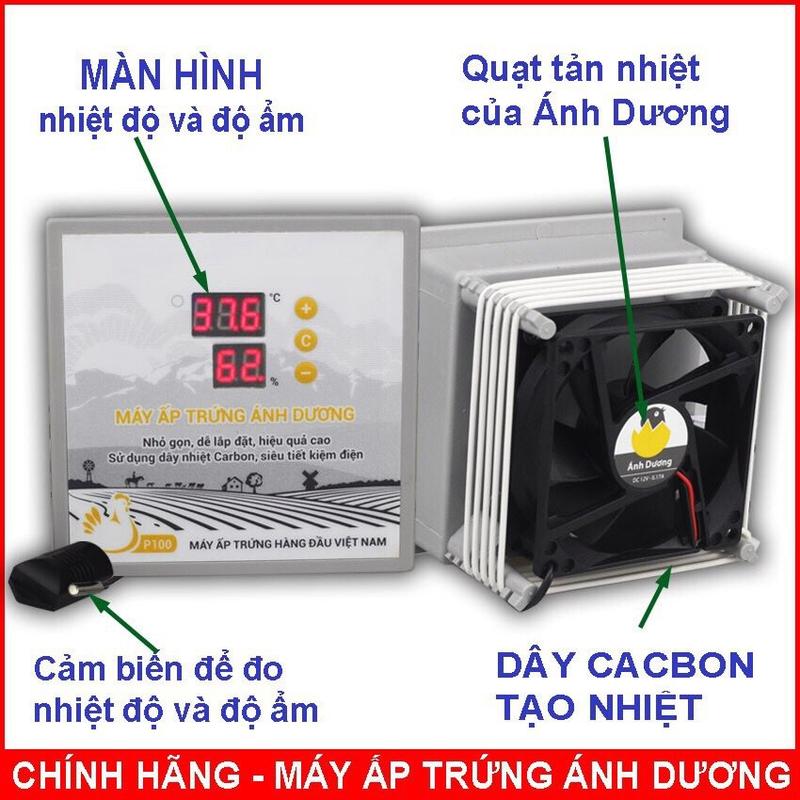 Máy Ấp Trứng Ánh Dương P100 - Máy Ấp Trứng Mini Siêu Tiết Kiệm Điện
