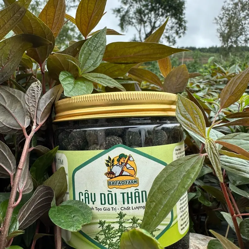 VIÊN DÒI THÂN TÍM MẬT ONG- VIÊN NHỎ- VIÊN TO- HỖ TRỢ CÁC VẤN ĐỀ VỀ HÔ HẤP VÀ DẠ DÀY (Tặng Hạt Giống) 4