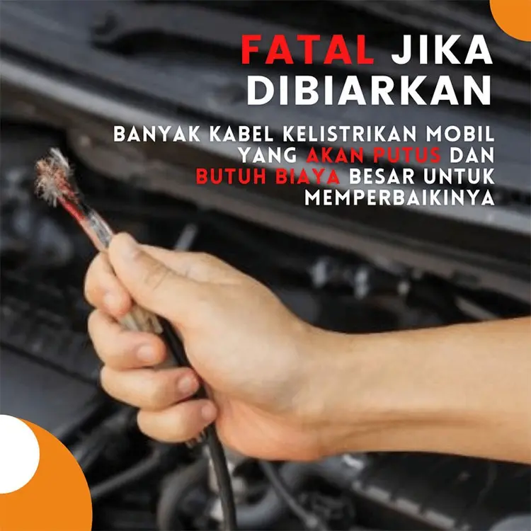 Ratikill Pengusir Tikus Untuk Rumah, Gedung & Mobil Ramah Lingkungan Aman Untuk Hewan Peliharaan Tanpa Bahan Berbahaya 2
