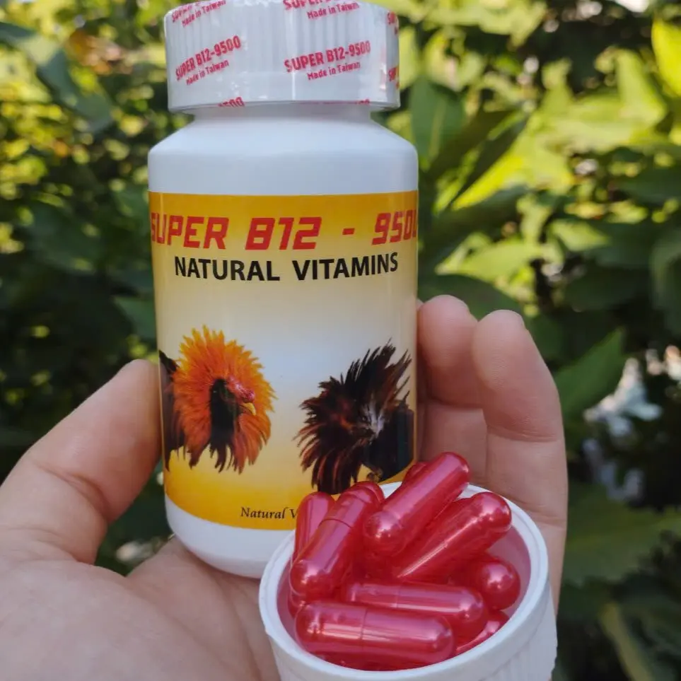 Super B12 9500 hũ 100 viên cho gà nuôi tăng bo cấp tốc 7-10 ngày giúp gà sung hừng, bóng mượt lông, lên nước máu