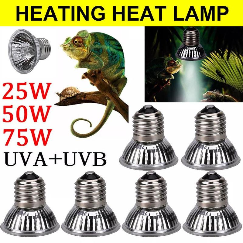 Product Introduction of Đèn sưởi ấm, Đèn lưng rùa, Đèn sưởi, Thích hợp cho lồng ấp, Đèn sưởi cho gà và vịt, Đèn sợi đốt, Cung cấp ánh sáng mặt trời và canxi, O0B8 28