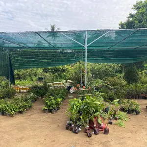 Trần Quí - Cây Giống