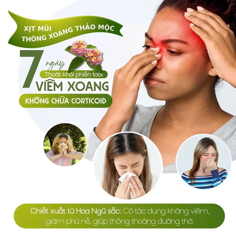 Xịt Mũi Thảo Dược 20ml Giúp - HỖ TRỢ VIÊM XOANG, VIÊM MŨI, VIÊM ĐƯỜNG HÔ HẤP 4