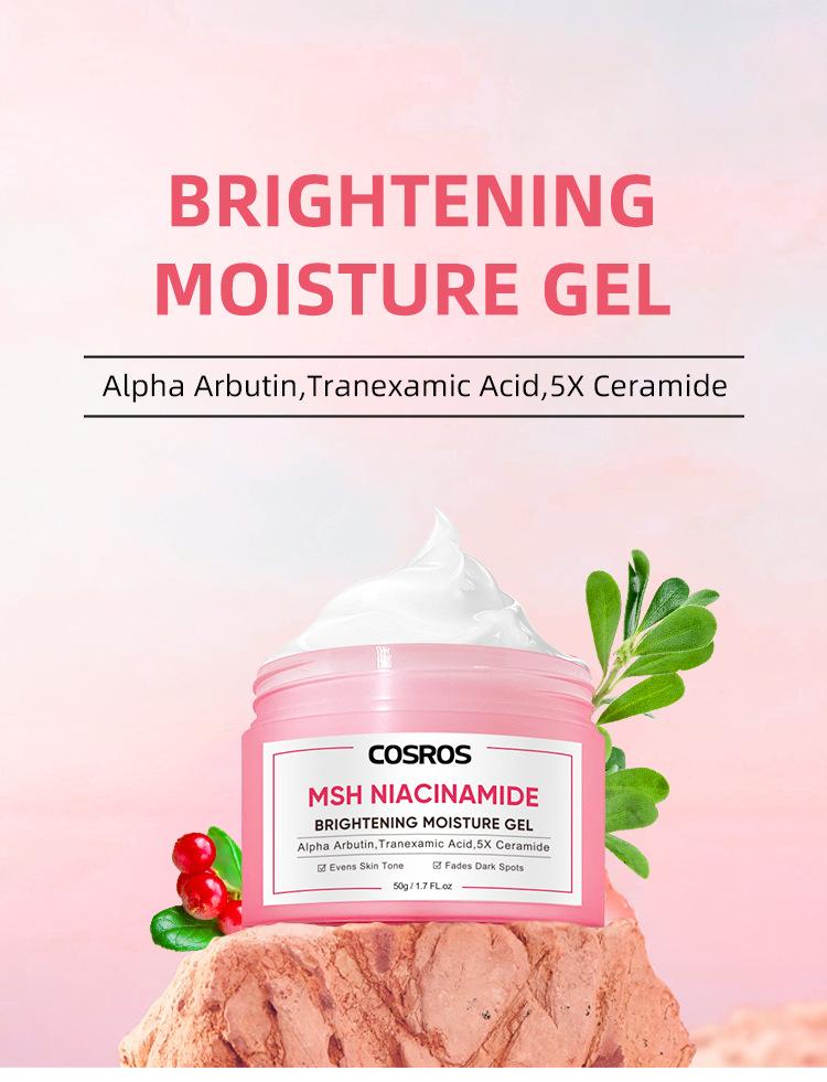Product Introduction of MSH Niacinamide Glowing Moisturizer Brightening Moisture Gel, Alpha Arbutin Tranexamic Acid 5X Ceramide 3