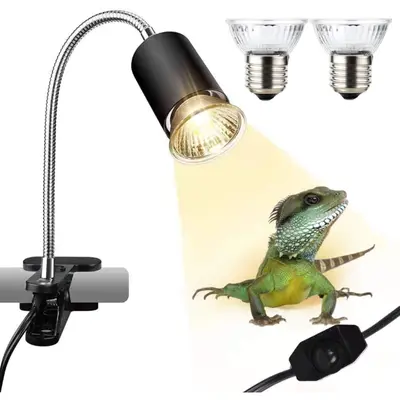 Selected Light Wattage for Iguanas TikTok Shop