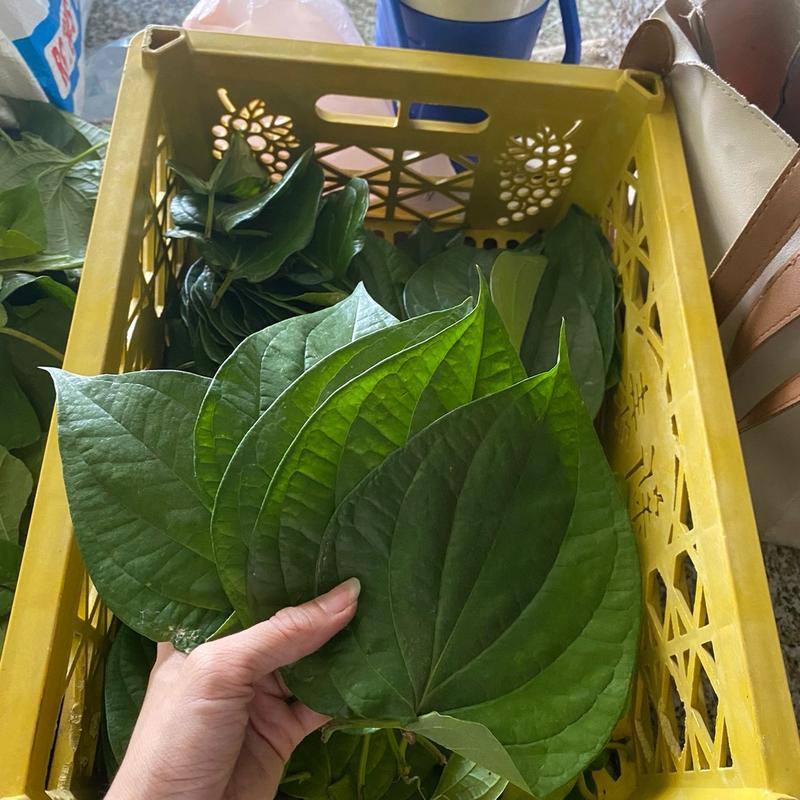 Lá Trầu Không Xanh  Đồng Nai - Xông Hơ Tắm Thiên Nhiên cho Mẹ và Bé 4