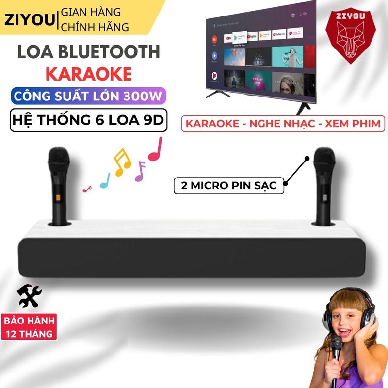 Loa Bluetooth Hát Karaoke Ziyou Marshelly H5K Kèm 2 Mic Công Suất Lớn Âm Thanh Vòm 9D Sống Động