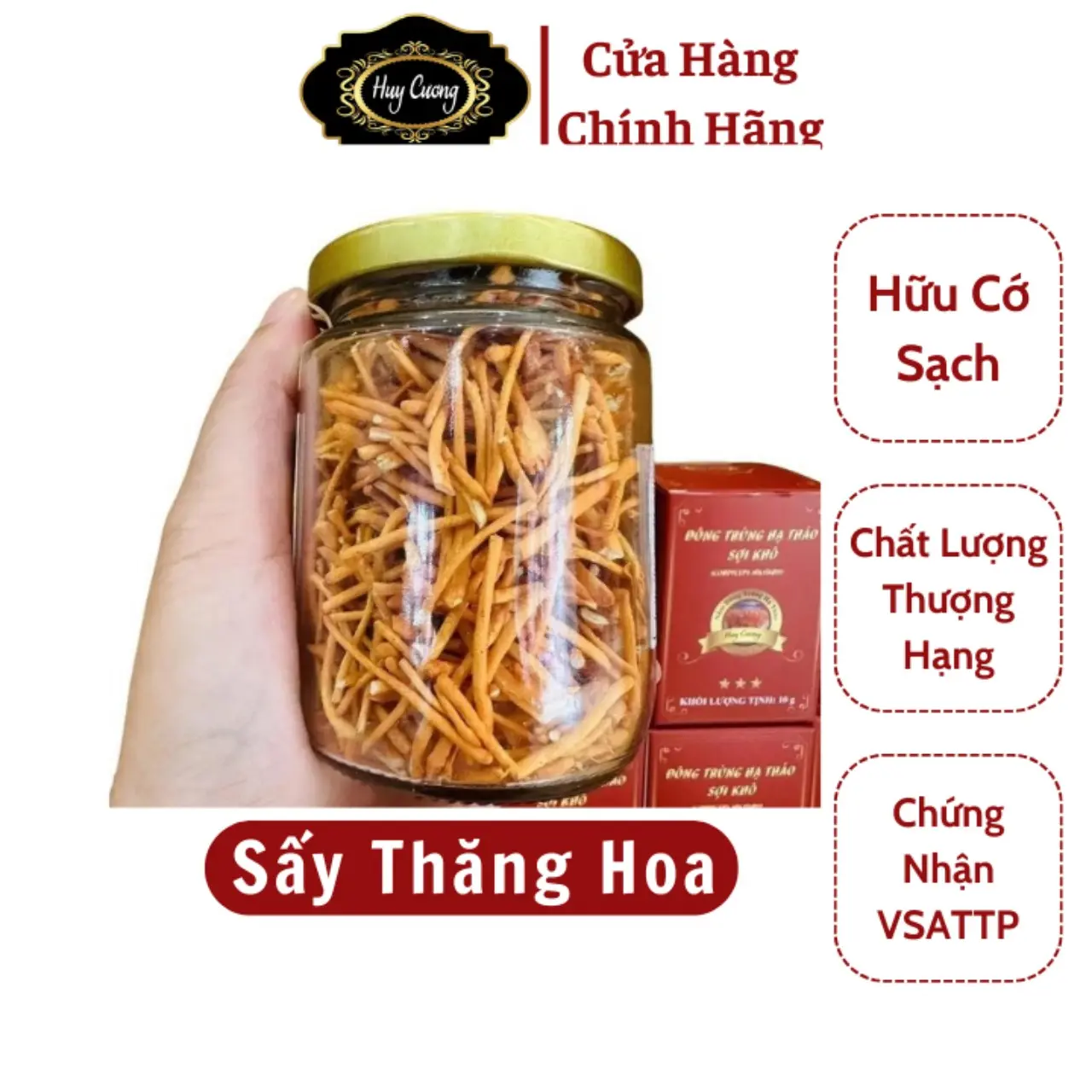 Đông trùng hạ thảo Huy Cương hàng rối lọ 10g