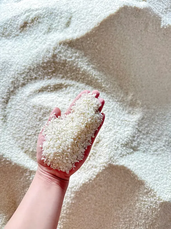 Gạo Séng Cù Tròn Điện Biên 10kg ( lúa mới ) Dẻo Ngon Ngọt Cơm - Gạo Sạch Tự Nhiên Không Chất Bảo Quản 2