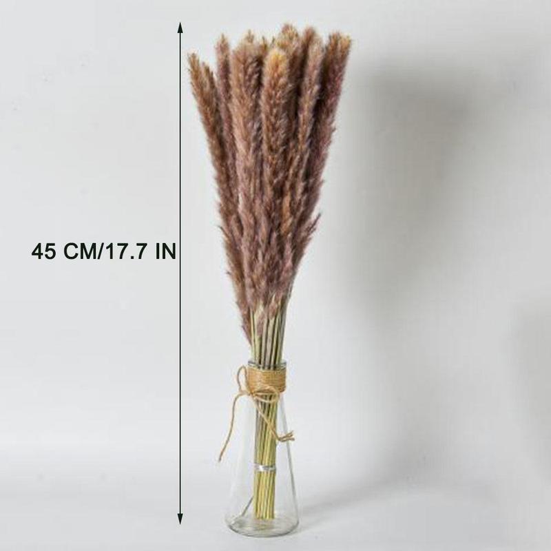 Natural Dried Pampas Grass (100pcs), Home Decorative Grass, Dried Pampas Grass for Home Table Decoration, Party Decor, Room Decor, Room Accessories 1