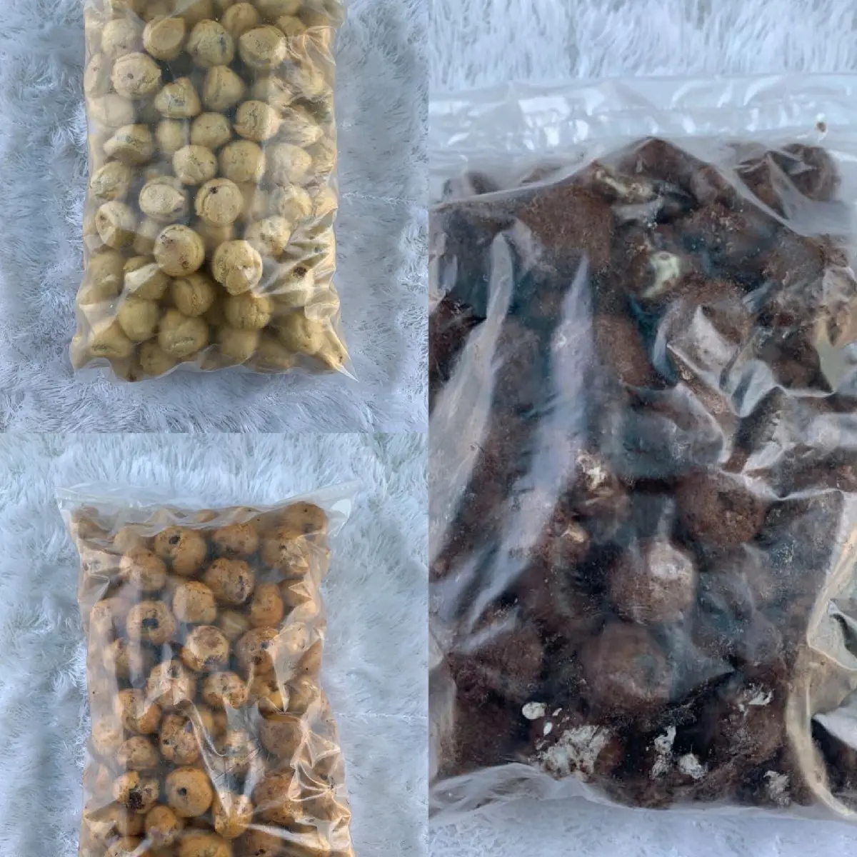 [500 Gram] Kue Sus Kering Coklat Vanilla & Stroberi