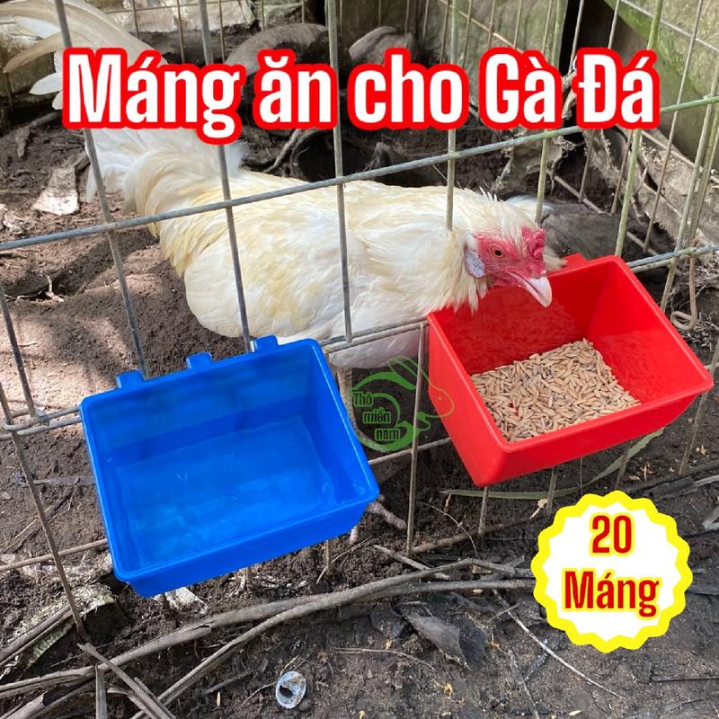 SET 20 Máng vuông trung 3 móc đựng thức ăn cho gà chọi, máng đựng thức ăn cho gà chọi 12x10x7