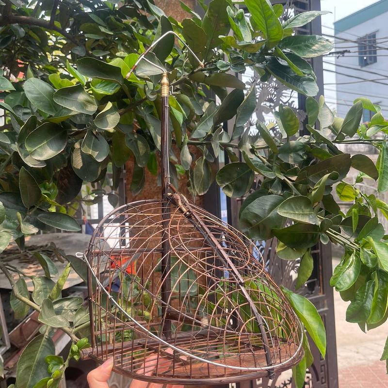 Lồng lụi móc đồng phom 1 mặt cho lồng chim chào mào