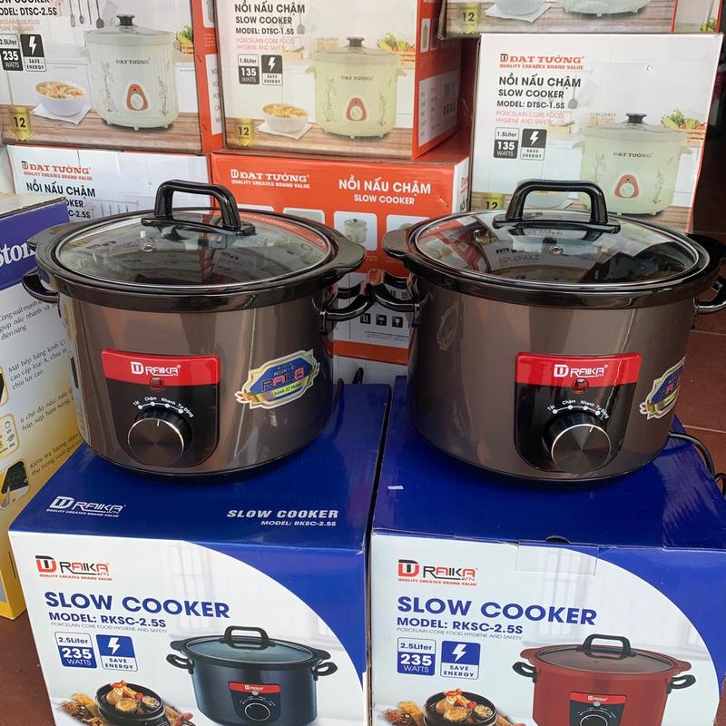 Nồi hầm chậm Raika Đạt Tường 2,5L, ninh hầm cháo, đậu, đỗ, kho cá, chưng yến... Nấu Cơm Nồi Cơm Điện