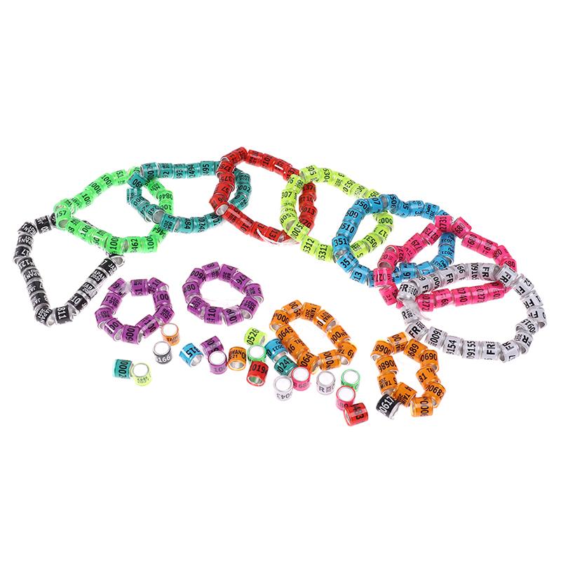 Product Introduction of 20 pcs Pigeon Foot Ring With Word Earrings 2023 Multicolor Bird Tools 24