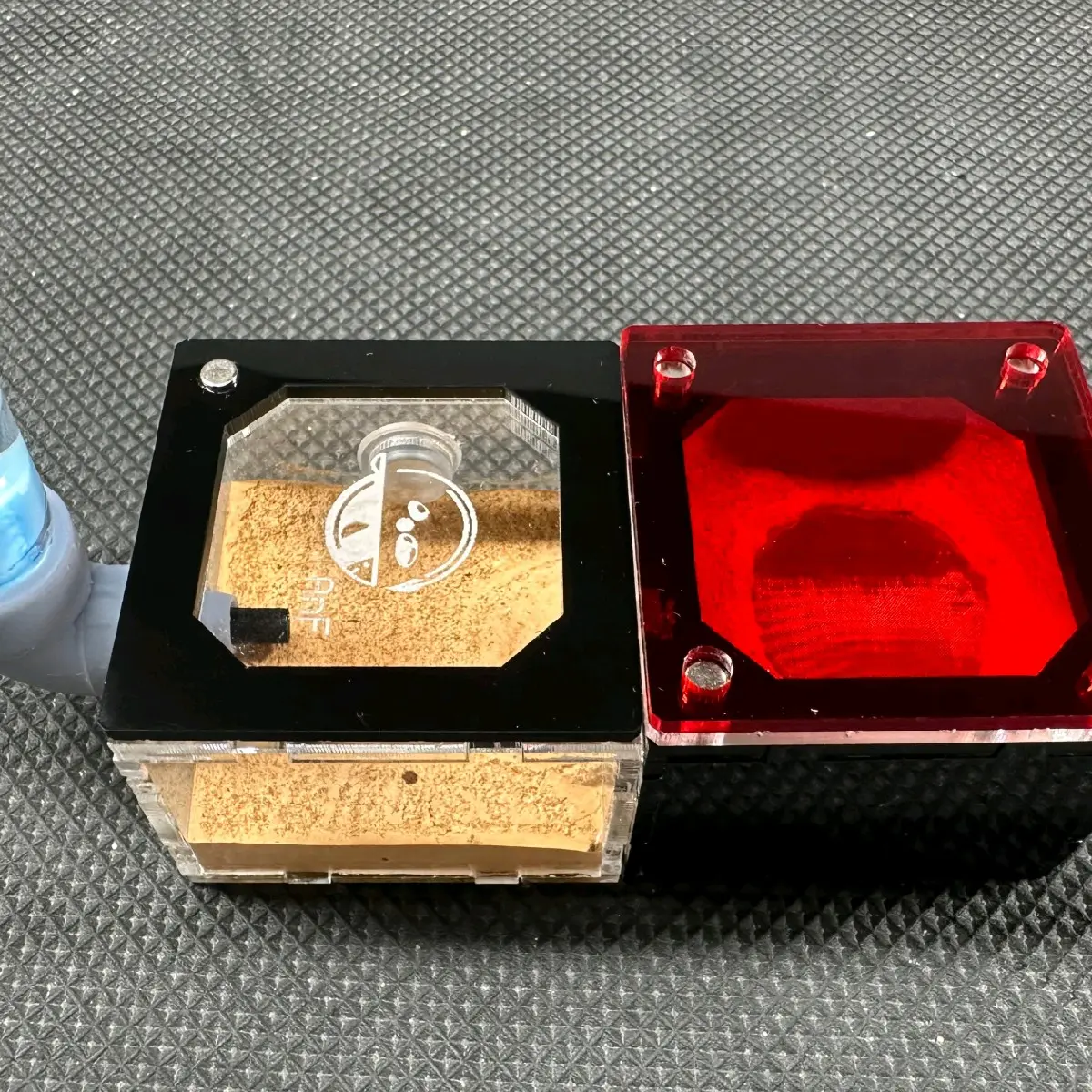 tank nuôi kiến - tank dưỡng Queen