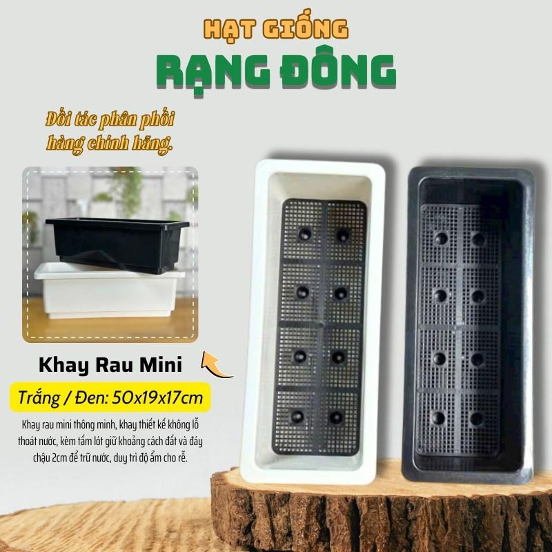 Khay Trồng Rau Mini Trắng/Đen - Chậu trồng cây, rau thông minh không lỗ + Tấm lót trữ nước - Hạt giống Rạng Đông