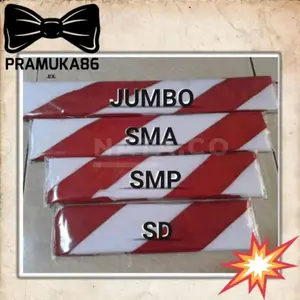 Hasduk SD SMP SMA Pembina Jumbo Dasi Kacu Pramuka Hasduk Pramuka