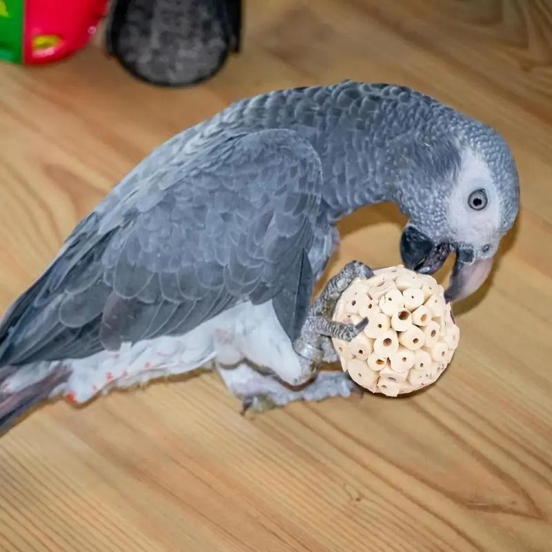 Product Introduction of Parrot Chewing Toy Ball Chew Shred Foraging Bird Cage Accessories for Parakeet Parrotlet Lovebird Budgies Conure Cockatiel 22