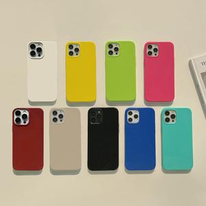 Ốp Điện Thoại Di Động Màu Huỳnh Quang, Dành Cho iPhone 15promax Và iPhone 16, Chất Liệu Silicon, Thích Hợp Cho iPhone 13 Và 14, Dày Hơn, Phong Cách Cá Tính XR, Chất Liệu Mềm