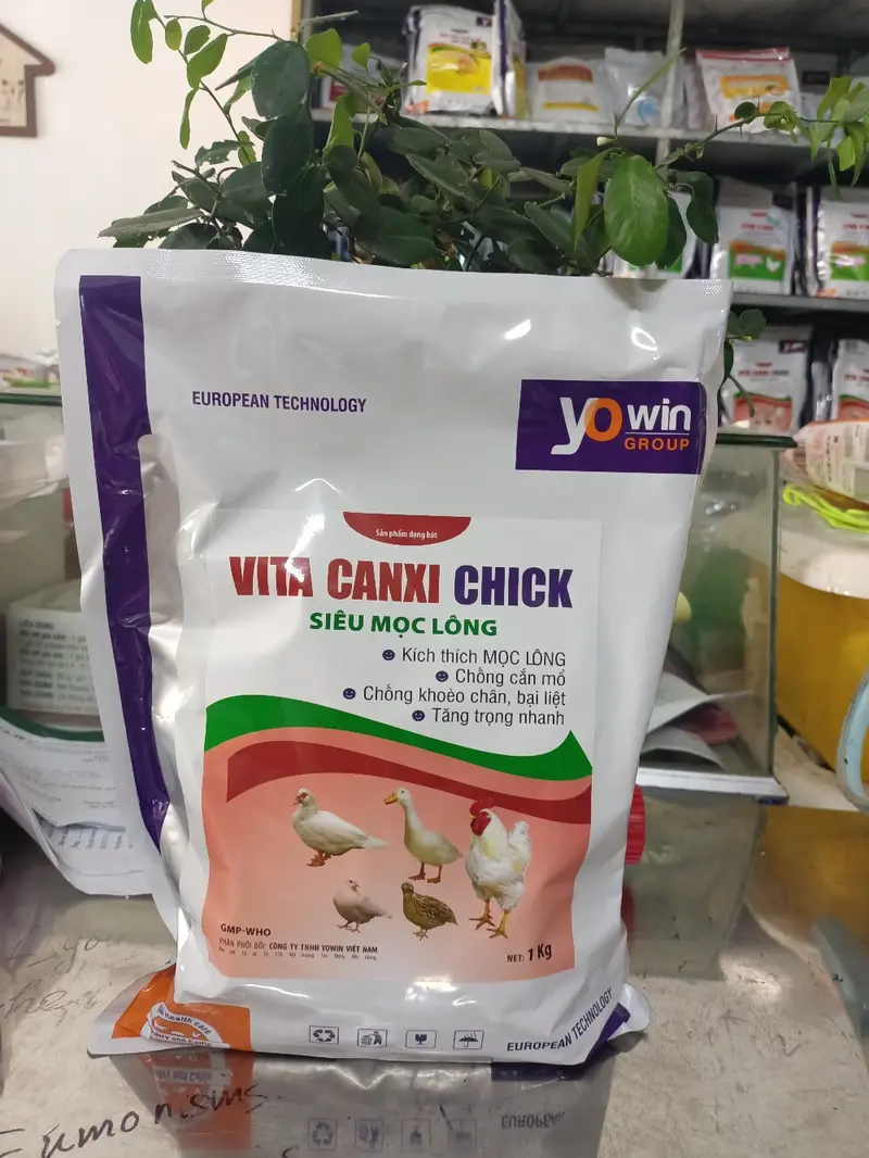 Product Introduction of VITA CANXI CHICK 1 kg, kích lông, mượt lông, chống cắn mổ lông 0