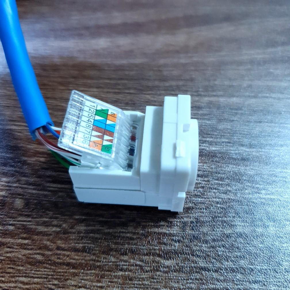 Hạt mạng &acirc;m tường RJ45 tự đ&oacute;ng cat6, m&atilde; HB-8040, d&ugrave;ng để bấm đầu d&acirc;y mạng (Vừa mặt sino tr&ograve;n)