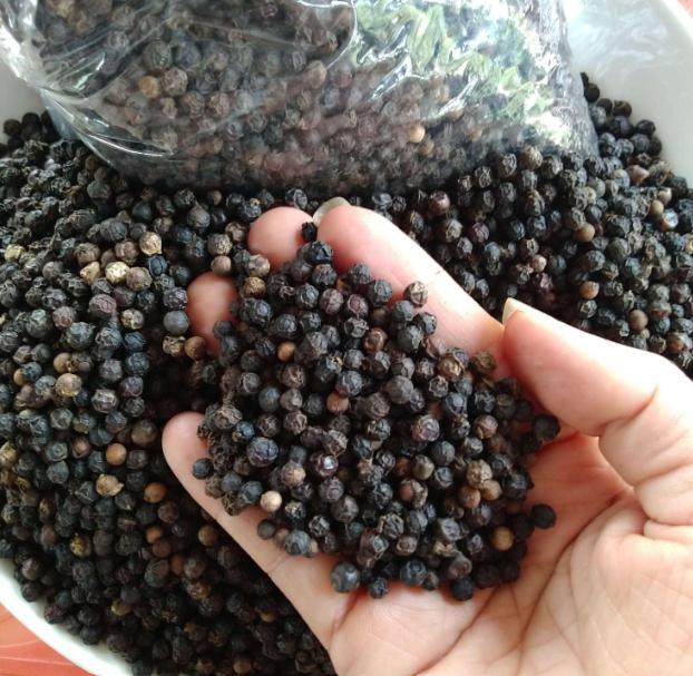 Chả Lụa GÂN ỚT XIÊM XANH Bà Hoa Cam 5 Cây 500g Hàng Ăn Nhà Xâu 1kg 5 Cây 200g- LB.BHC.ANNHA.003 (Chỉ giao miền nam) 4