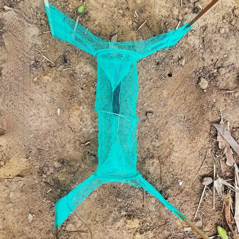 Lợp Ếch Đa Năng Loại Nhỏ Kích Thước Vành 20cm 4