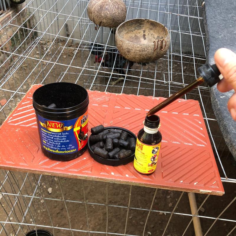 Combo ốm trong  lọ vàng thái lan, bổ nội tạng viên đen thái lan cho gà ( tặng bịt mỏ )