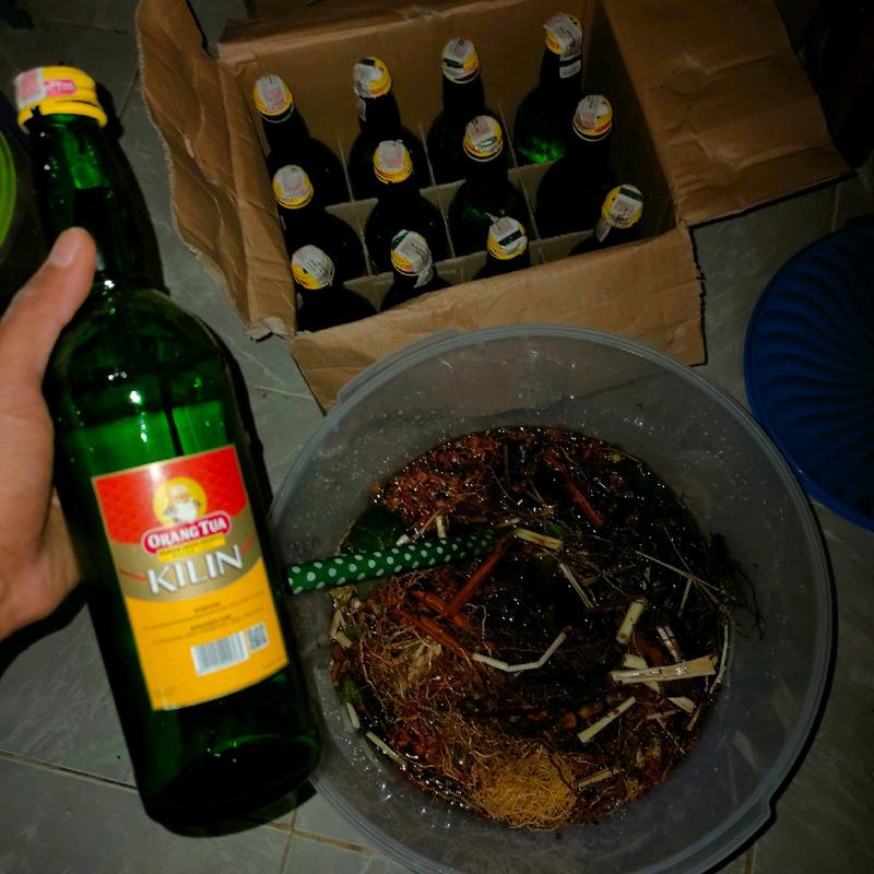ARAK GOSOK PYONGYANG 2