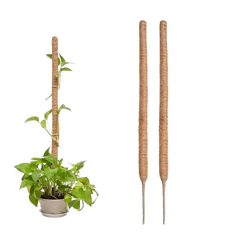 Moss Pole, 2 Counts Flexible Durable  Climbing Plant Growth Support, Beautiful Coconut Rod for Indoor Balcony Garden Pot Plant 0