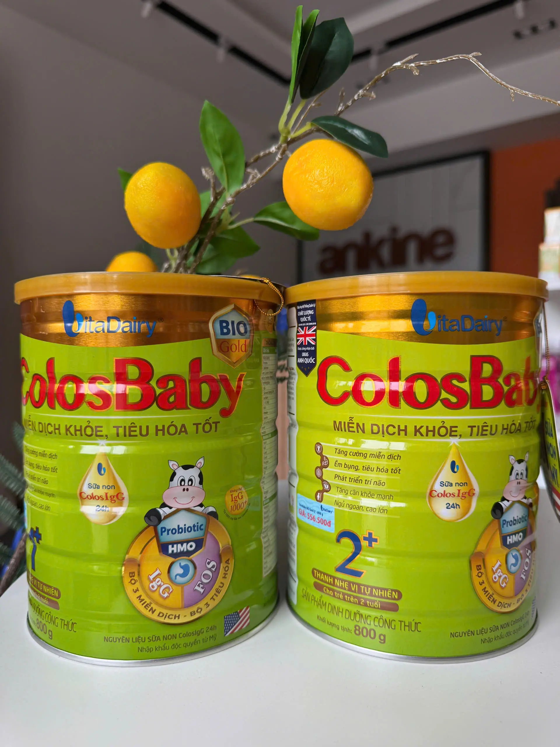 Hộp Sữa bột công thức Colosbaby BIO Gold 800g