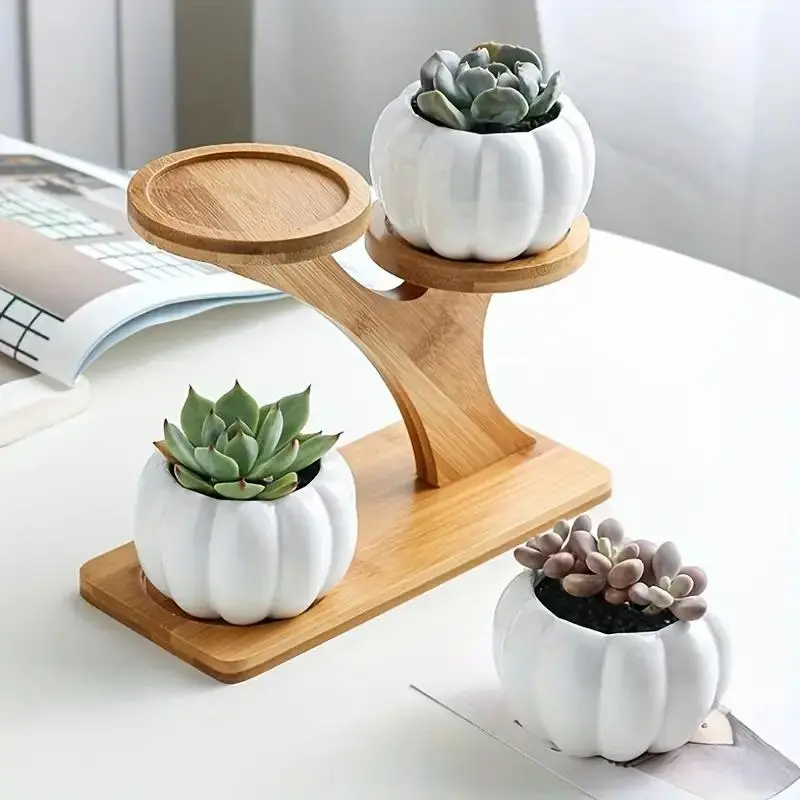 Tiered Plant Stand, Wooden Succulent Plant Display Rack, Potted Plant Display Stand, Desktop Flower Pot Holder for Home Decor, without Plant