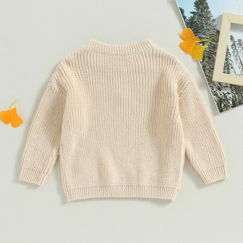 Product Introduction of Baby Girl Sweater, Long Sleeve Crew Neck Flower Winter Warm Knit Pullover Sweater Infant Clothes 47