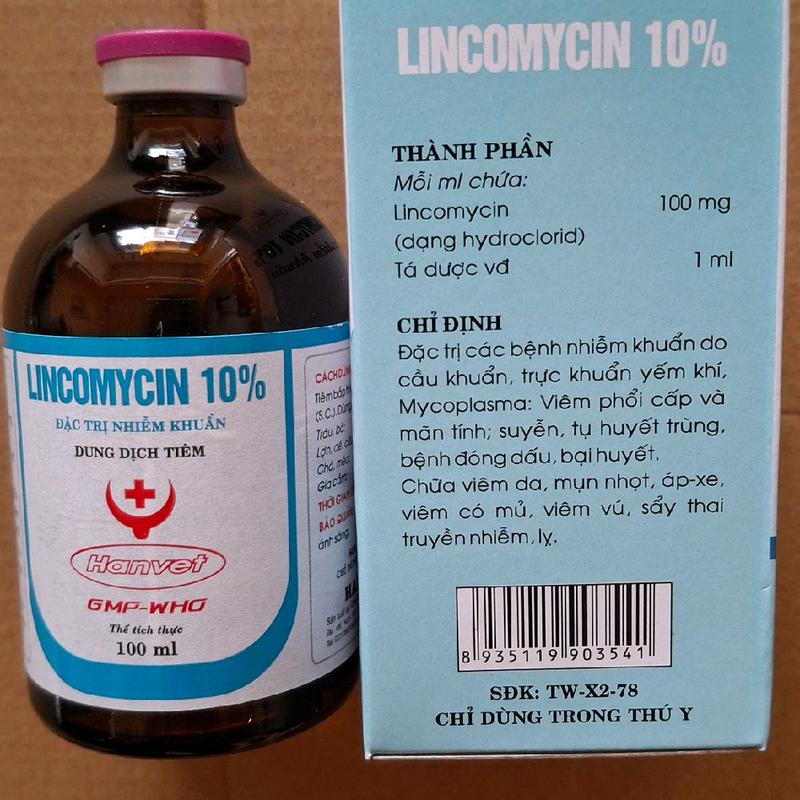 Lincomycin 10% đặc trị nhiễm khuẩn, viêm sưng khớp, viêm phổi, hen suyễn, crd cho gà, lợn, chó, mèo (100ml) 4